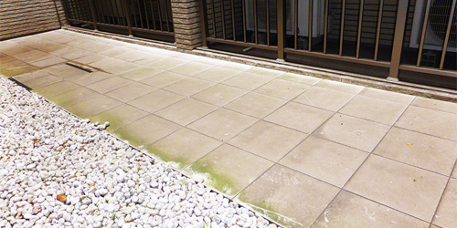 石材コケ除去清掃作業風景1